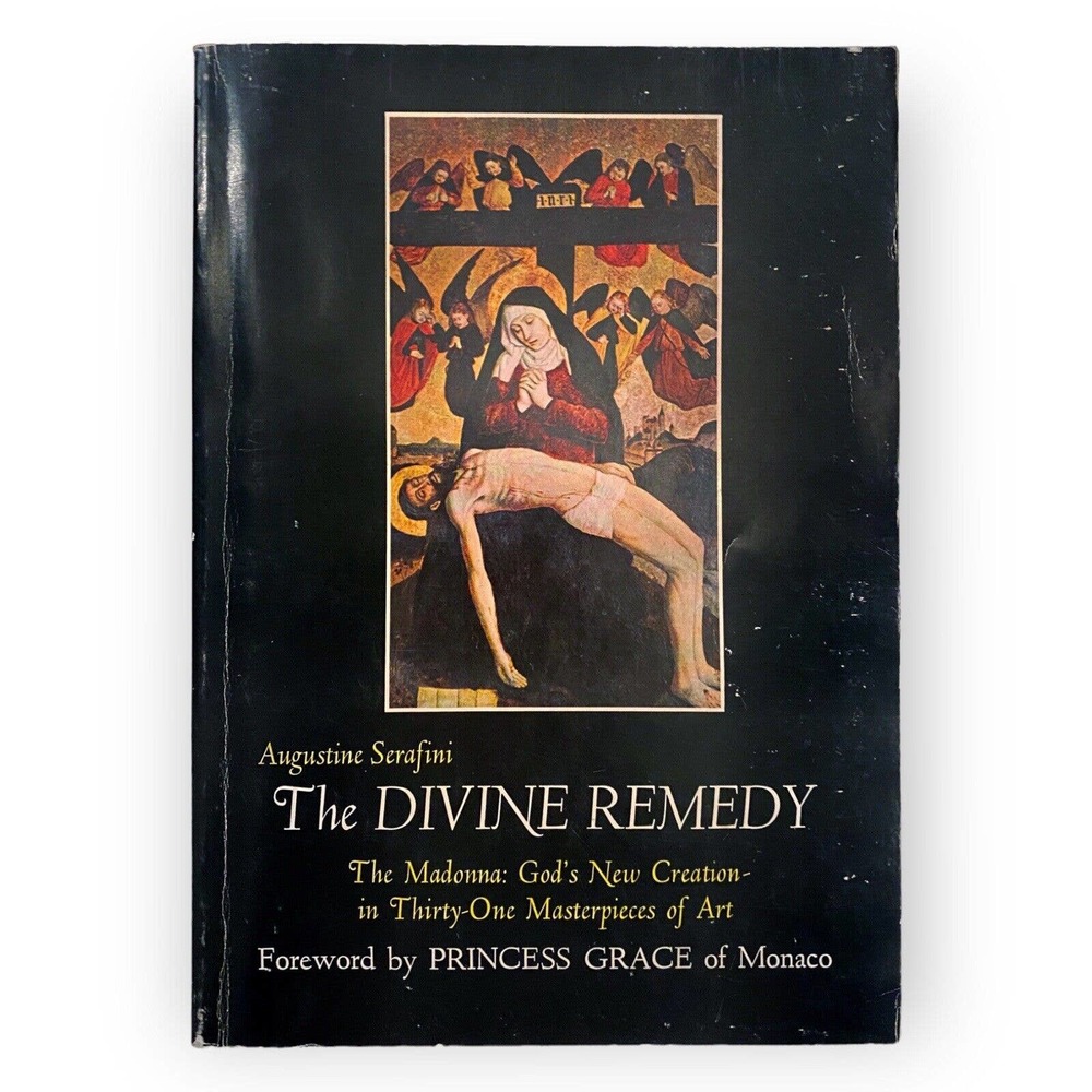 The Divine Remedy: The Madonna by Augustine Serafini (1978 Paperback) Good